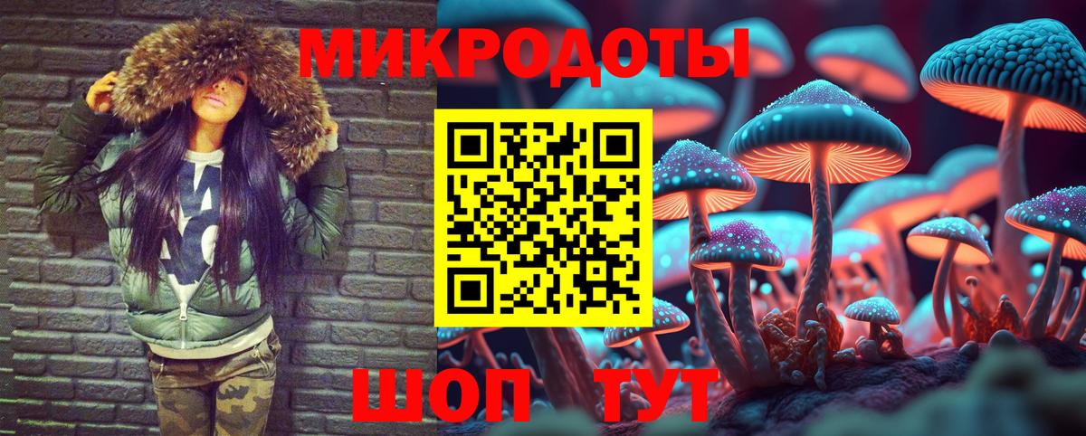Псилоцибиновые грибы Psilocybine cubensis  Вход с VPN  Советская Гавань 